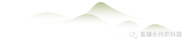 http://m.9881666.com/upfiles/article/20170223124847174717.png